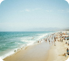 A beach with a lot of people
