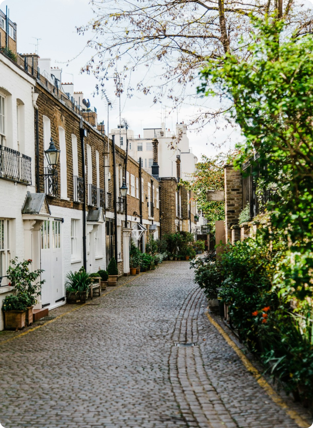 people walking on the street